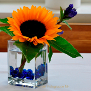 Monatsthema Spiel mit Glas und Wasser - Fotograf Albert Wenz