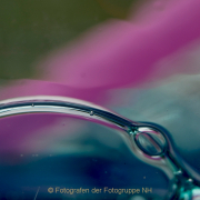 Monatsthema Spiel mit Glas und Wasser - Fotografin Anne Jeuk