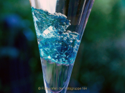 Monatsthema Spiel mit Glas und Wasser - Fotografin Anne Jeuk