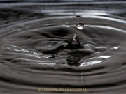 Monatsthema Spiel mit Glas und Wasser - Fotografin Anne Jeuk