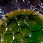 Monatsthema Spiel mit Glas und Wasser - Fotografin Anne Jeuk