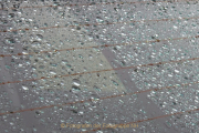 Monatsthema Spiel mit Glas und Wasser - Fotograf Helmut Joa