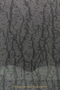 Monatsthema Spiel mit Glas und Wasser - Fotograf Helmut Joa