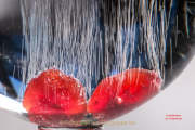 Monatsthema Spiel mit Glas und Wasser - Fotograf Joachim Clemens