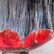 Monatsthema Spiel mit Glas und Wasser - Fotograf Joachim Clemens