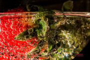 Monatsthema Spiel mit Glas und Wasser - Fotograf Joachim Clemens