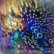 Monatsthema Spiel mit Glas und Wasser - Fotografin Jutta R. Buchwald