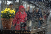 Monatsthema Spiel mit Glas und Wasser - Fotografin Nicole Gieseler