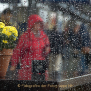 Monatsthema Spiel mit Glas und Wasser - Fotografin Nicole Gieseler