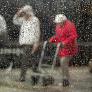 Monatsthema Spiel mit Glas und Wasser - Fotografin Nicole Gieseler