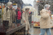 Monatsthema Spiel mit Glas und Wasser - Fotografin Nicole Gieseler
