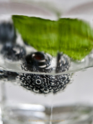 Monatsthema Spiel mit Glas und Wasser - Fotograf Henry Mann