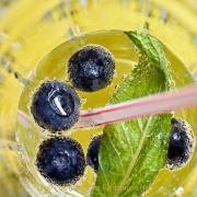 Monatsthema Spiel mit Glas und Wasser - Fotograf Henry Mann