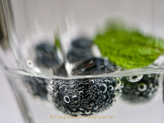 Monatsthema Spiel mit Glas und Wasser - Fotograf Henry Mann