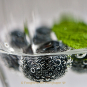 Monatsthema Spiel mit Glas und Wasser - Fotograf Henry Mann