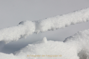 Monatsthema Weiss - Fotograf Helmut Joa