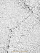 Monatsthema Weiss - Fotograf Henry Mann