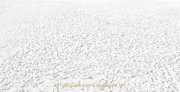 Monatsthema Weiss - Fotograf Henry Mann