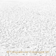 Monatsthema Weiss - Fotograf Henry Mann