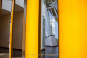 Monatsthema Gelb dominiert - Fotografin Nicole Gieseler