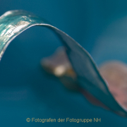 Monatsthema Brücken - Fotograf Helmut Joa