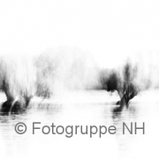 Schwarz-Weiß - Fotografin Jutta R. Buchwald