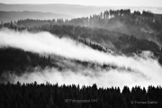 Schwarz-Weiß - Fotograf Thomas Stähler
