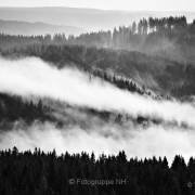 Schwarz-Weiß - Fotograf Thomas Stähler