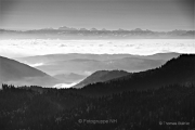Schwarz-Weiß - Fotograf Thomas Stähler