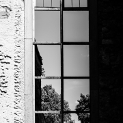 Monatsthema Fenster - Fotografin Izabela Reich
