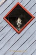 Monatsthema Fenster - Fotograf Thomas Stähler