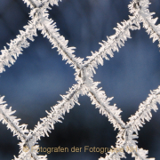 Monatsthema Eis - Fotograf Albert Wenz