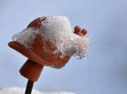 Monatsthema Eis - Fotograf Albert Wenz