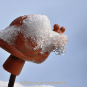 Monatsthema Eis - Fotograf Albert Wenz