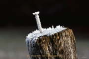Monatsthema Eis - Fotograf Joachim Clemens
