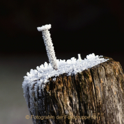 Monatsthema Eis - Fotograf Joachim Clemens