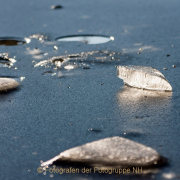 Monatsthema Eis - Fotograf Joachim Clemens