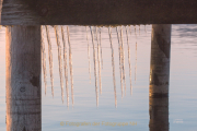 Monatsthema Eis - Fotograf Joachim Clemens