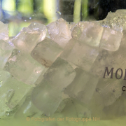 Monatsthema Eis - Fotografin Jutta R. Buchwald