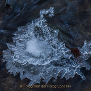Monatsthema Eis - Fotografin Jutta R. Buchwald