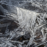 Monatsthema Eis - Fotografin Jutta R. Buchwald