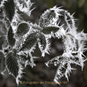 Monatsthema Eis - Fotograf Helmut Joa