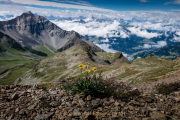 Monatsthema Berge / Gebirge - Fotografin Izabela Reich