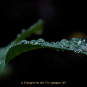 Monatsthema Zauberhaftes, Verträumtes - Fotografin Anne Jeuk