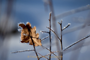 Monatsthema Zauberhaftes, Verträumtes - Fotografin Anne Jeuk