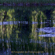 Monatsthema Zauberhaftes, Verträumtes - Fotografin Anne Jeuk