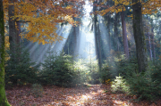 Monatsthema Zauberhaftes, Verträumtes - Fotograf Christoph Fuhrmann