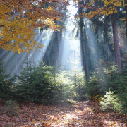 Monatsthema Zauberhaftes, Verträumtes - Fotograf Christoph Fuhrmann