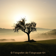 Monatsthema Zauberhaftes, Verträumtes - Fotograf Christoph Fuhrmann