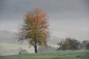 Monatsthema Zauberhaftes, Verträumtes - Fotograf Christoph Fuhrmann